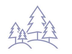 maqui-descrizione-ico