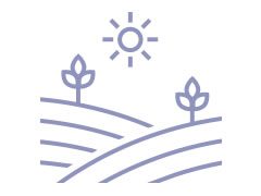 maqui-ecosistema-ico